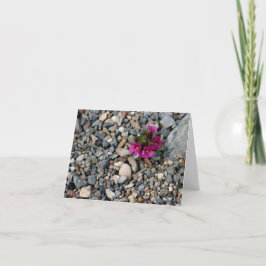 Bloemen van de Kaart van de Nota van de Vallei van