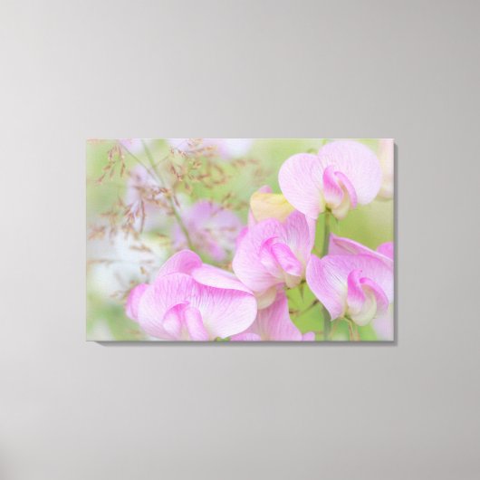 Bloemen van de Lathyrus | Seabeck, WA Canvas Afdruk (Voorkant)