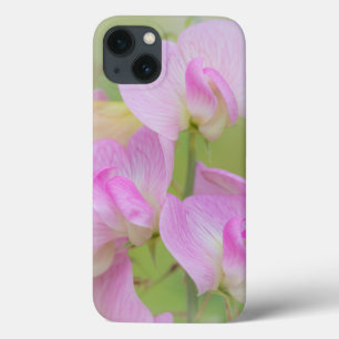 Bloemen van de lathyrus Seabeck, WA Case-Mate iPhone Case