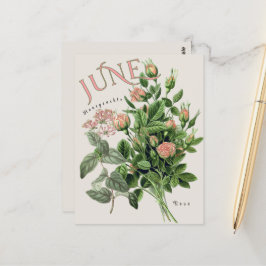 Bloemen van de maand juni honingzuiger roos beige briefkaart
