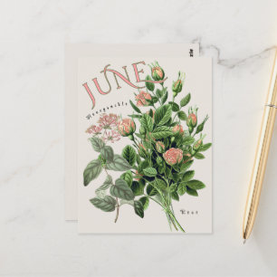 Bloemen van de maand juni honingzuiger roos beige briefkaart