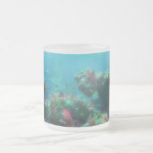 Bloemen van de Mok Zee (Center)