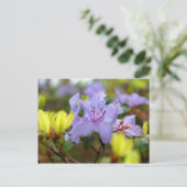 Bloemen van de Schotse Hooglanden Briefkaart (Staand voorkant)