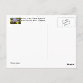 Bloemen van de Schotse Hooglanden Briefkaart (Achterkant)