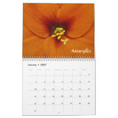 Bloemen van de seizoenskalender kalender (Jan 2027)