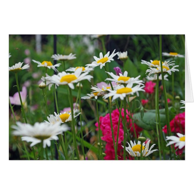 Bloemen van de wereld (Voorkant Horizontaal)