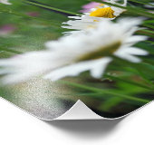Bloemen van de wereld foto afdruk (Hoek)