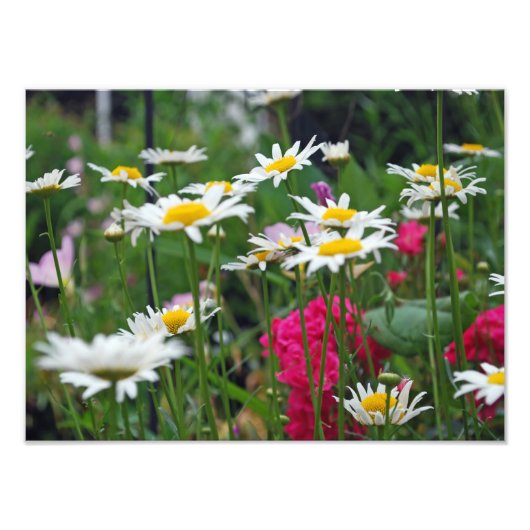 Bloemen van de wereld foto afdruk (Voorkant)