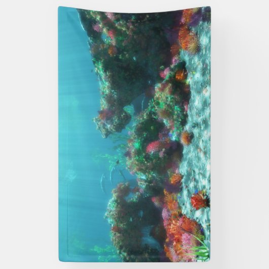 Bloemen van de Zee banner (Verticaal)