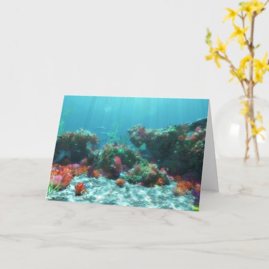 Bloemen van de Zee kaart (Gele Bloem)