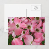 Bloemen van Dogwood Briefkaart (Voorkant / Achterkant)