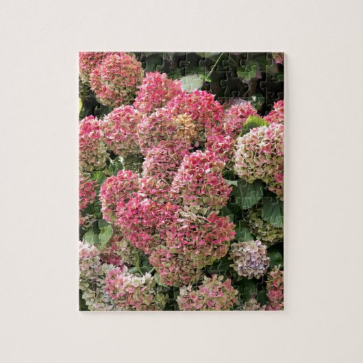 Bloemen van een Franse hydrangea (Hydrangea macrop Legpuzzel (Verticaal)