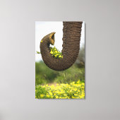 Bloemen van een Reus Canvas Afdruk (Voorkant)