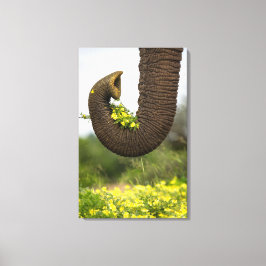 Bloemen van een Reus Canvas Afdruk