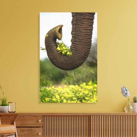 Bloemen van een Reus Canvas Afdruk (Insitu (Woonkamer))