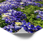 Bloemen van Faith 1 Chronicles 16:10 Art Poster (Hoek)