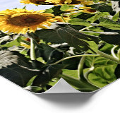 Bloemen van Faith 1Chronicles 29:11 Art Poster (Hoek)