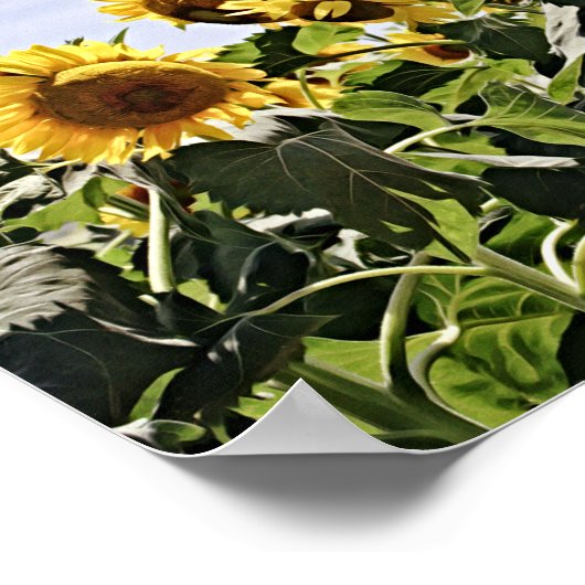 Bloemen van Faith 1Chronicles 29:11 Art Poster (Hoek)