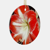 Bloemen van Faith 2 Corinthians Amaryllis Ornament (Rechts)