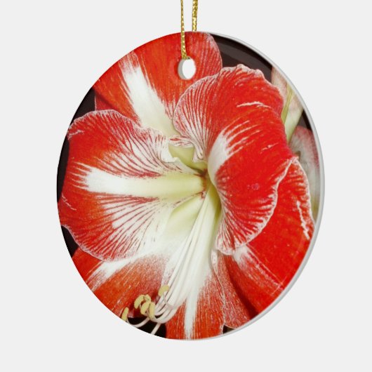 Bloemen van Faith 2 Corinthians Amaryllis Ornament (Links)