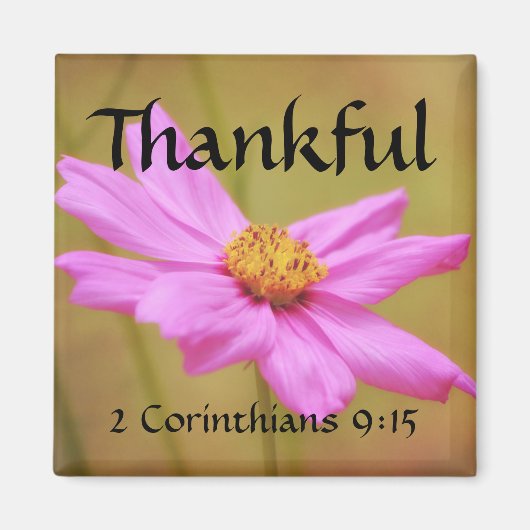 Bloemen van Faith 2 Corinthians Cosmos Magnet (Voorkant)