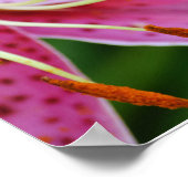 Bloemen van Faith Isaiah 40:8 Art Poster (Hoek)