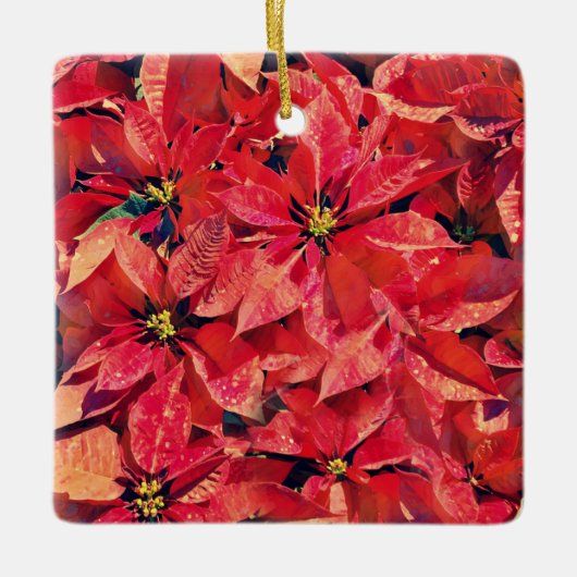 Bloemen van Faith Isaiah Poinsettia Ornament (Voorkant)
