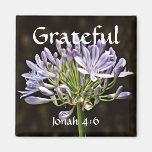 Bloemen van Faith Jonah Agapanthus Magnet
