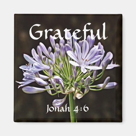 Bloemen van Faith Jonah Agapanthus Magnet (Voorkant)