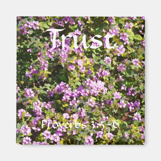 Bloemen van Faith Proverbs Sage Magnet (Voorkant)