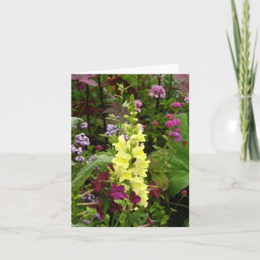 Bloemen van Frankrijk Kaart (Voorkant)