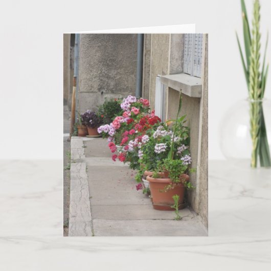 Bloemen van Frankrijk Kaart (Voorkant)