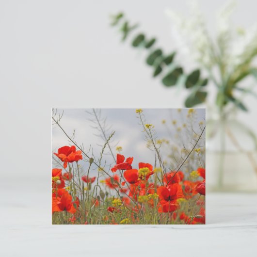 Bloemen van gewone papaver in een veld. briefkaart (Staand voorkant)