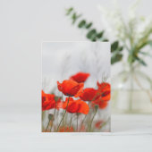 Bloemen van gewone papaver in een veld. briefkaart (Staand voorkant)