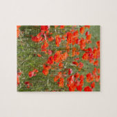 Bloemen van gewone papaver in een veld. legpuzzel (Horizontaal)
