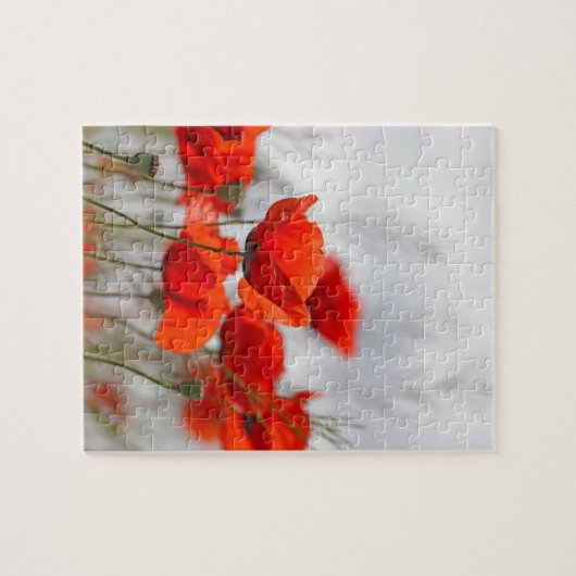 Bloemen van gewone papaver in een veld. legpuzzel (Horizontaal)