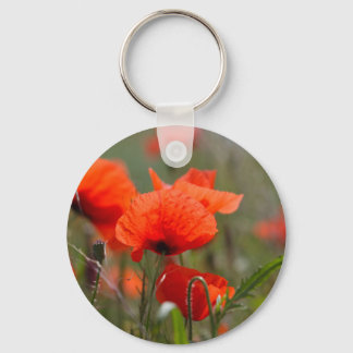 Bloemen van gewone papaver in een veld. sleutelhanger