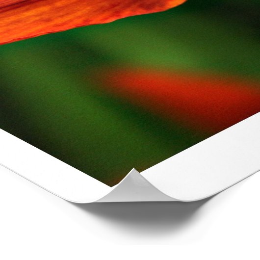 Bloemen van God Poster (Hoek)