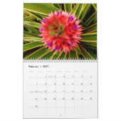 Bloemen van Hawaii Kalender (Feb 2027)