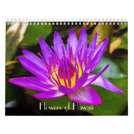 Bloemen van Hawaii Kalender (Hoes)