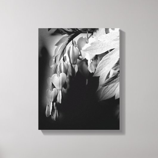 Bloemen van het bloeden, zwart en wit canvas afdruk (Voorkant)