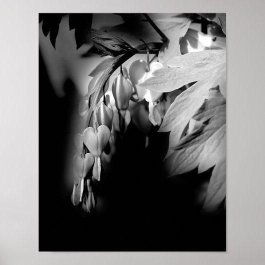 Bloemen van het bloeden, zwart en wit poster (Voorkant)