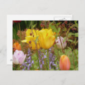 Bloemen van het Briefkaart van de Tenderheid (Voorkant / Achterkant)