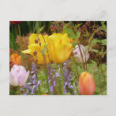 Bloemen van het Briefkaart van de Tenderheid (Voorkant)