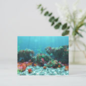 Bloemen van het Briefkaart van de Zee (Staand voorkant)