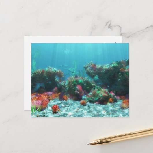 Bloemen van het Briefkaart van de Zee (Voorkant / Achterkant in situ)