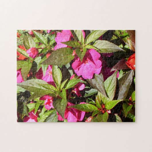 Bloemen van het Busy Lizzie-plantje Legpuzzel (Horizontaal)