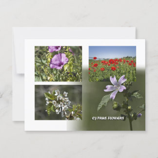 Bloemen van het Cyprus-briefkaart Briefkaart