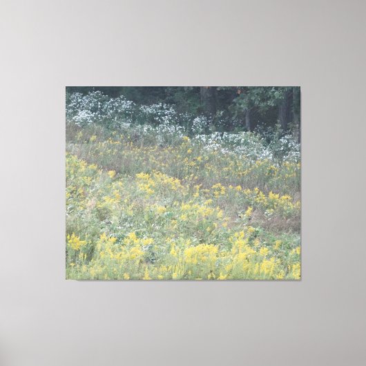 Bloemen van het Gebied op 3 panelen Canvas Afdruk (Voorkant)