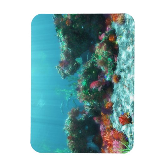 Bloemen van het Zee Flexible Magnet Magneet (Verticaal)